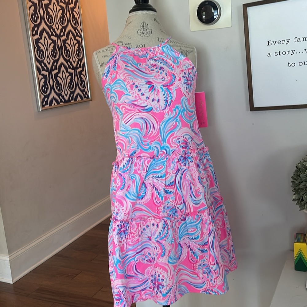 Lilly Pulitzer Evalyn dress